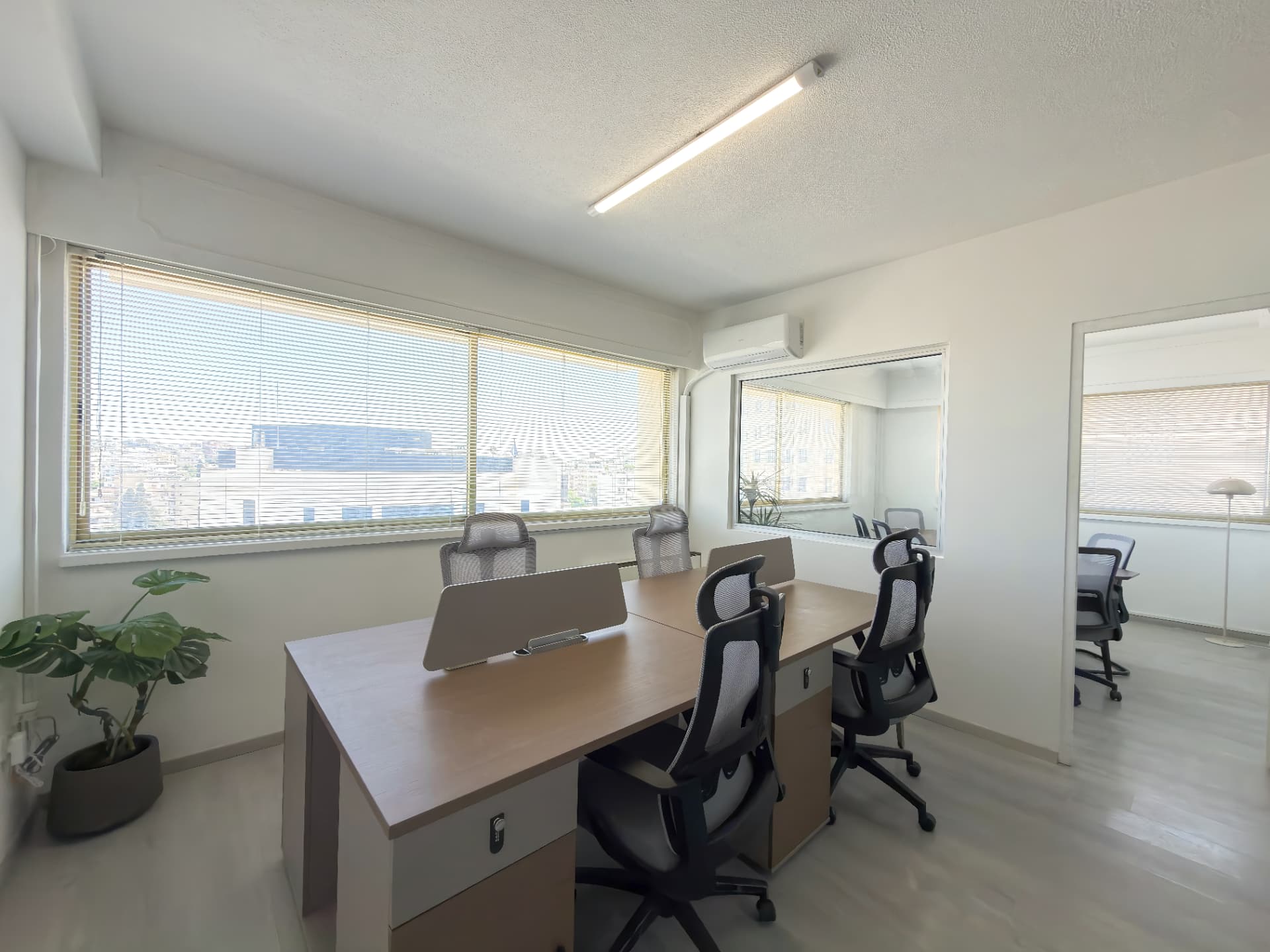 Skyline Coworking wide view with planting and artwork